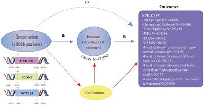 Analyzing the causal relationship between lipid-lowering drug target genes and epilepsy: a Mendelian randomization study